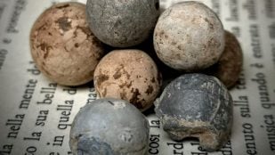 paneles solares con perovskita