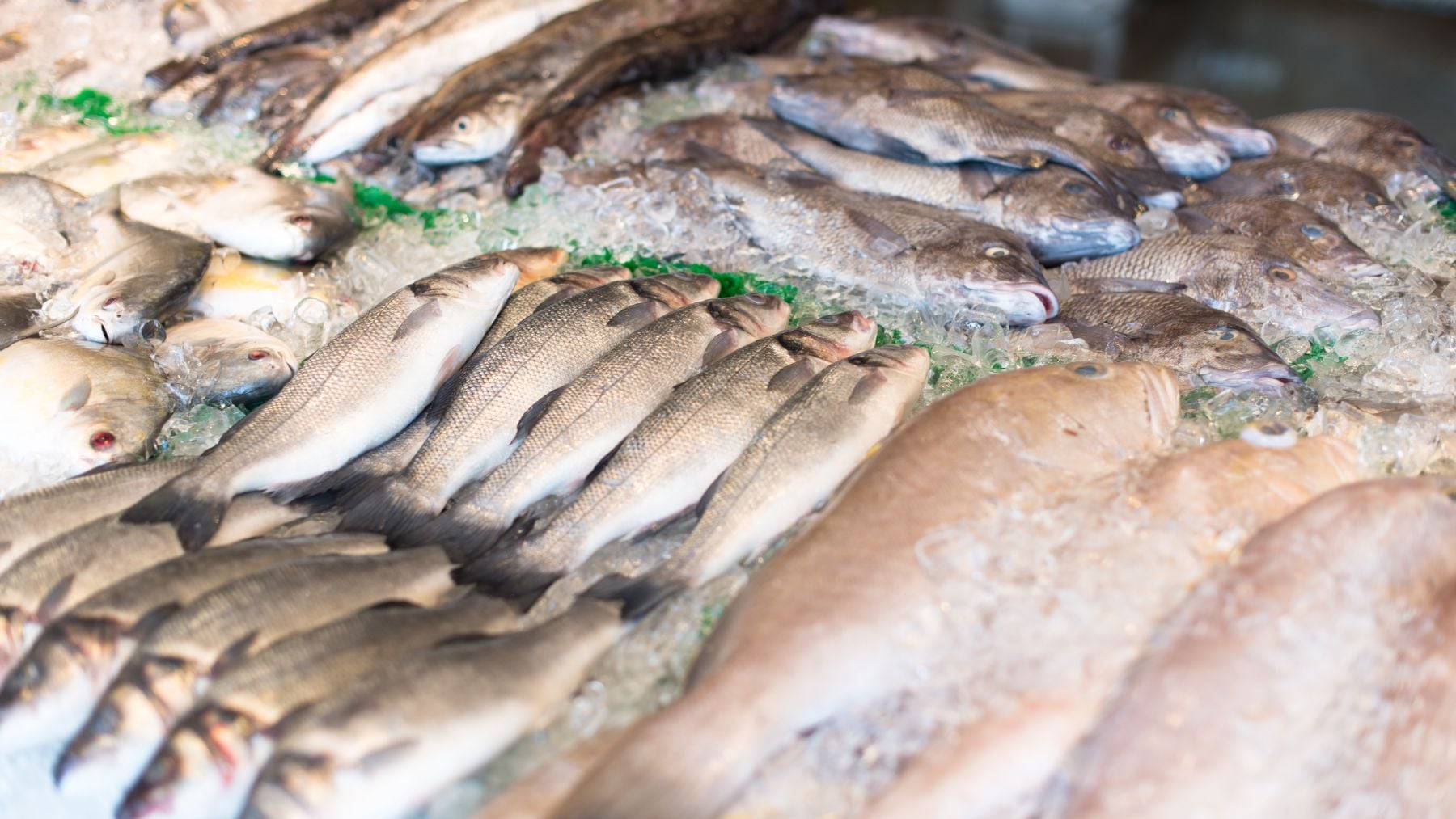 Mercadona dice adiós a la pescadería de siempre y adopta un formato que asegura productos más frescos y de mayor calidad