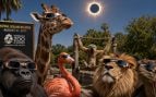 Animales contemplando el eclipse de sol. Generado por IA.