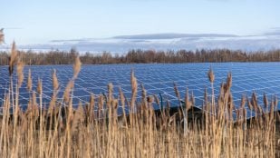 placas solares Francia