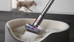 Dyson V12 Detect Slim Absolute