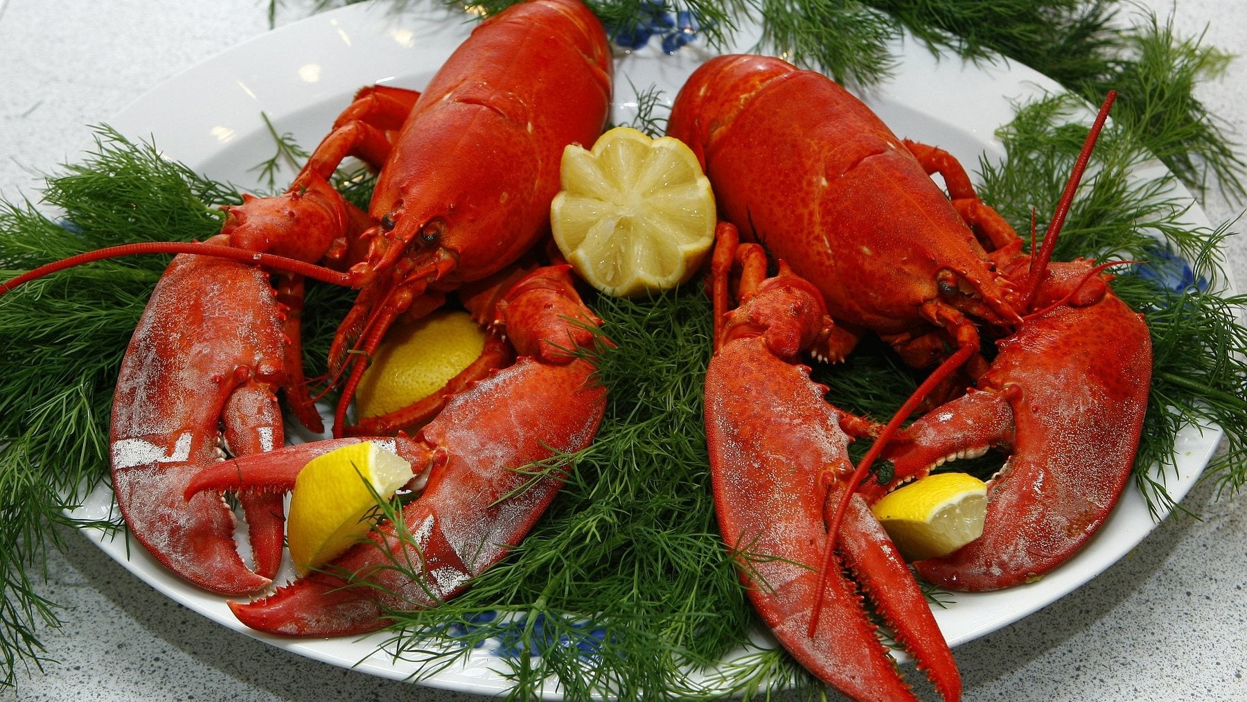 Poca gente lo sabe, pero en el siglo XIX era comida de pobres y hoy un manjar exclusivo para gourmets