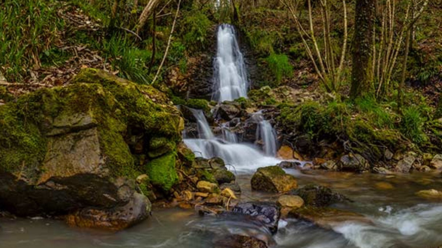 El plan perfecto para primavera: Asturias tiene un Sendero Azul que acaba en una cascada en mitad del bosque