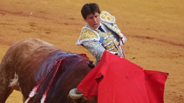 Andr&eacute;s Roca Rey, Roca Rey, Tana Rivera