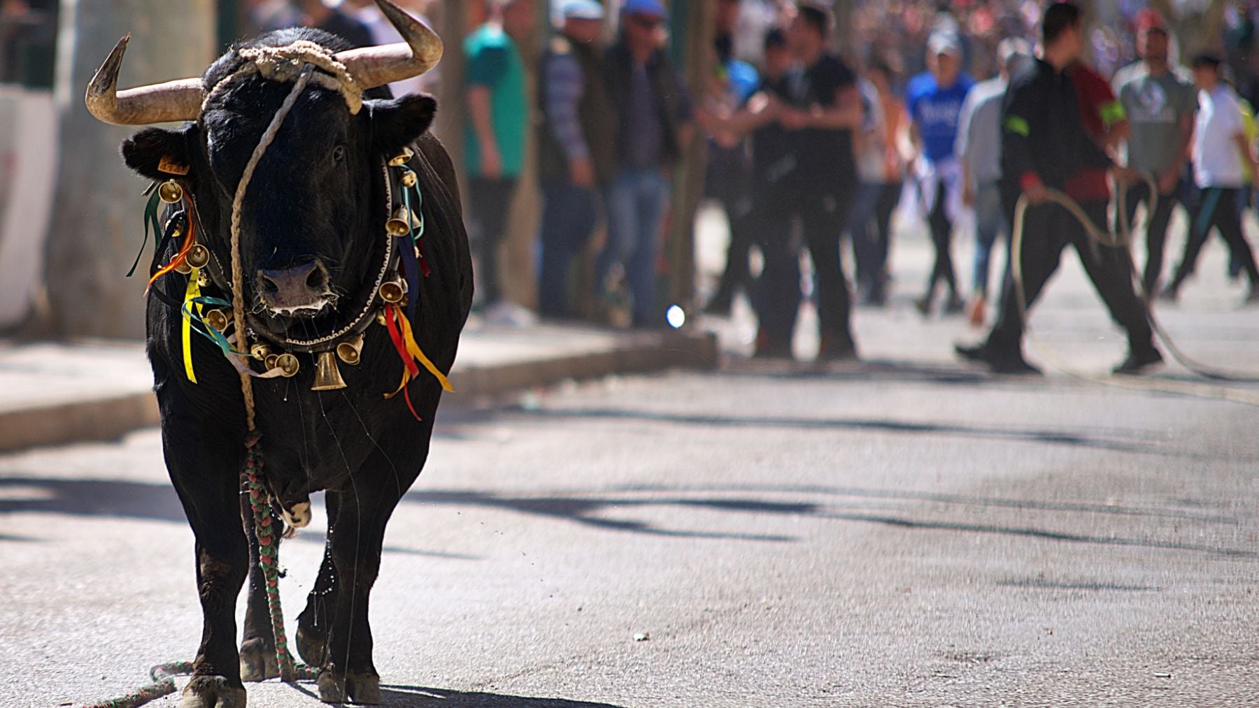 Muere un joven ganadero de 30 años tras ser corneado en un encierro festivo en Beas de Segura (Jaén)