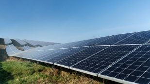 paneles solares