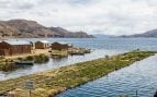 Plantas, lago, Bolivia, naturaleza
