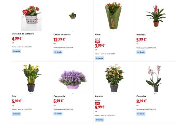 regalos D&iacute;a de la Madre