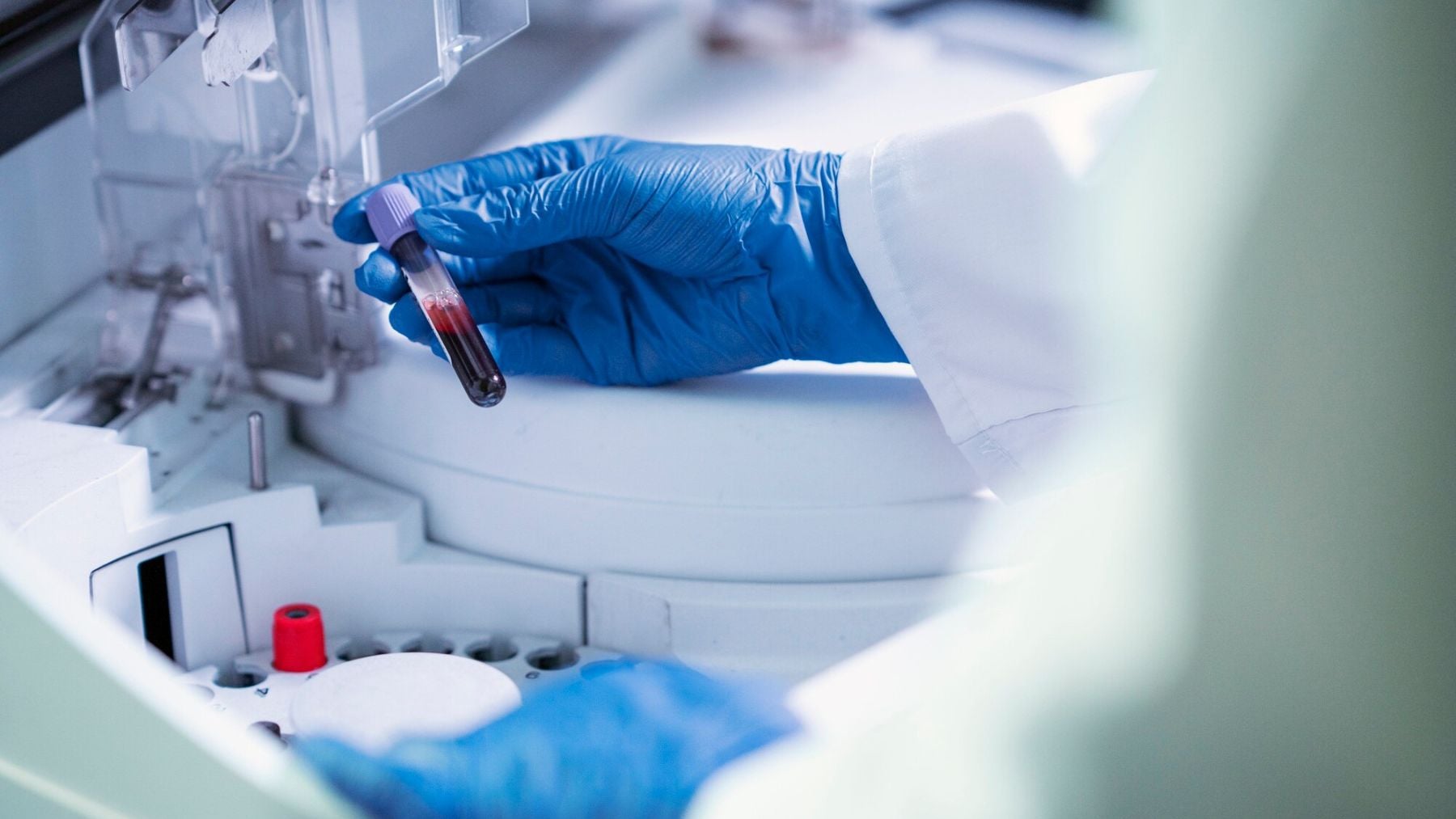 Científicos realizan un análisis de laboratorio. Foto: Freepik