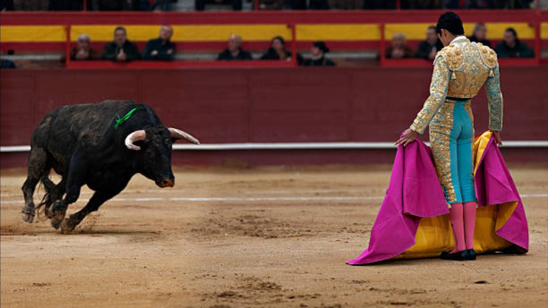 Entradas para la Feria de San Isidro: precio, cómo y dónde comprar tickets para las corridas de toros en Las Ventas
