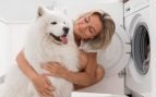 Perro pelos lavadora
