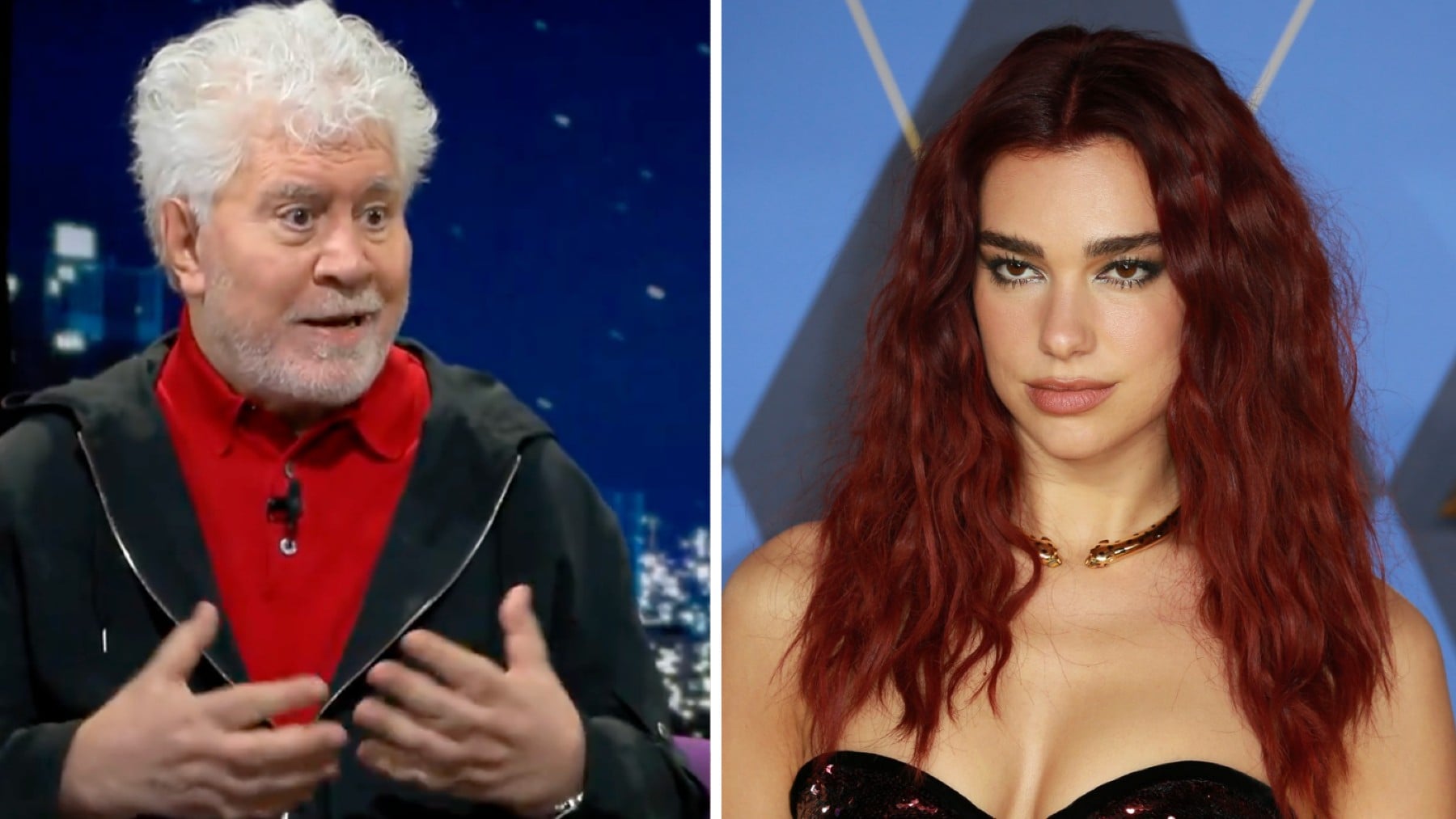 Pedro Almodovar sobre Dua Lipa. «Es lo contrario a una modelo porque lee»