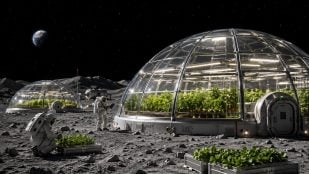 China quiere construir invernaderos en la luna, agricultura en el espacio, agricultura lunar, invernaderos chinos en el espacio.