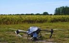 Argentina usa drones y algoritmos para estudiar sus cultivos. (Foto: Gobierno de Argentina, Ministerio de Economía, Sector Agricultura, Ganadería y Pesca)