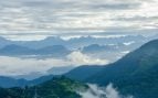 India, Himalaya, árboles, bosque, naturaleza