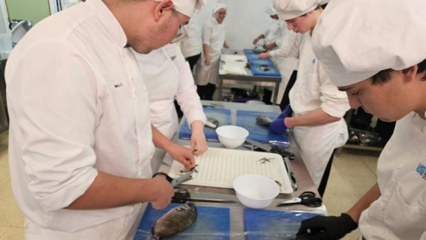 pescado local formaci&oacute;n