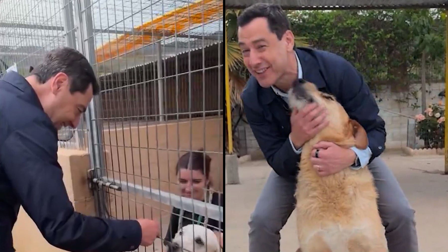 Moreno pide adoptar perros en Andalucía y recuerda las ayudas de hasta 100 € por gastos veterinarios