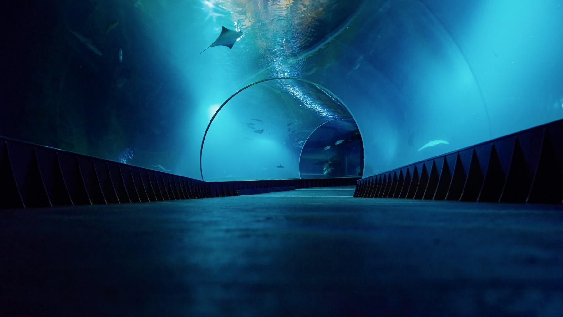 Los expertos coinciden: el Umbral de Camarinal puede ser el punto de inflexión en el megatúnel que va a unir España y Marruecos