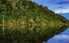 La selva amazónica es uno de los lugares con mayor biodiversidad del planeta.