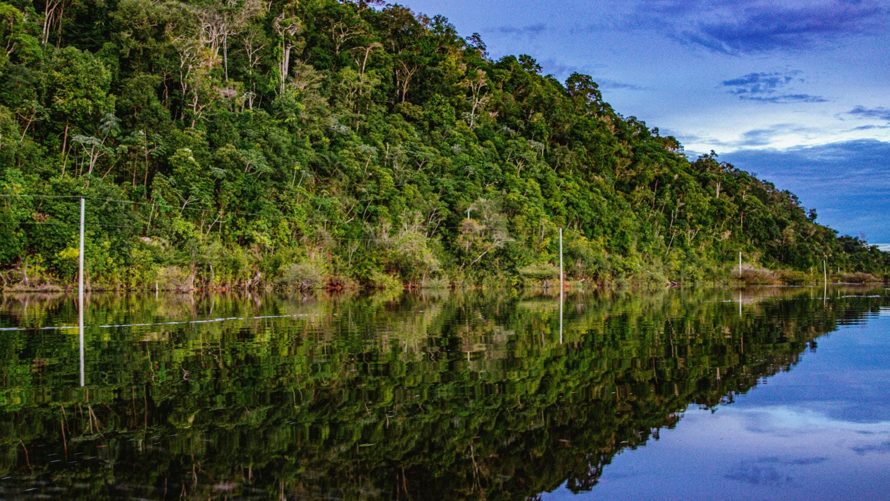 La selva amazónica es uno de los lugares con mayor biodiversidad del planeta.