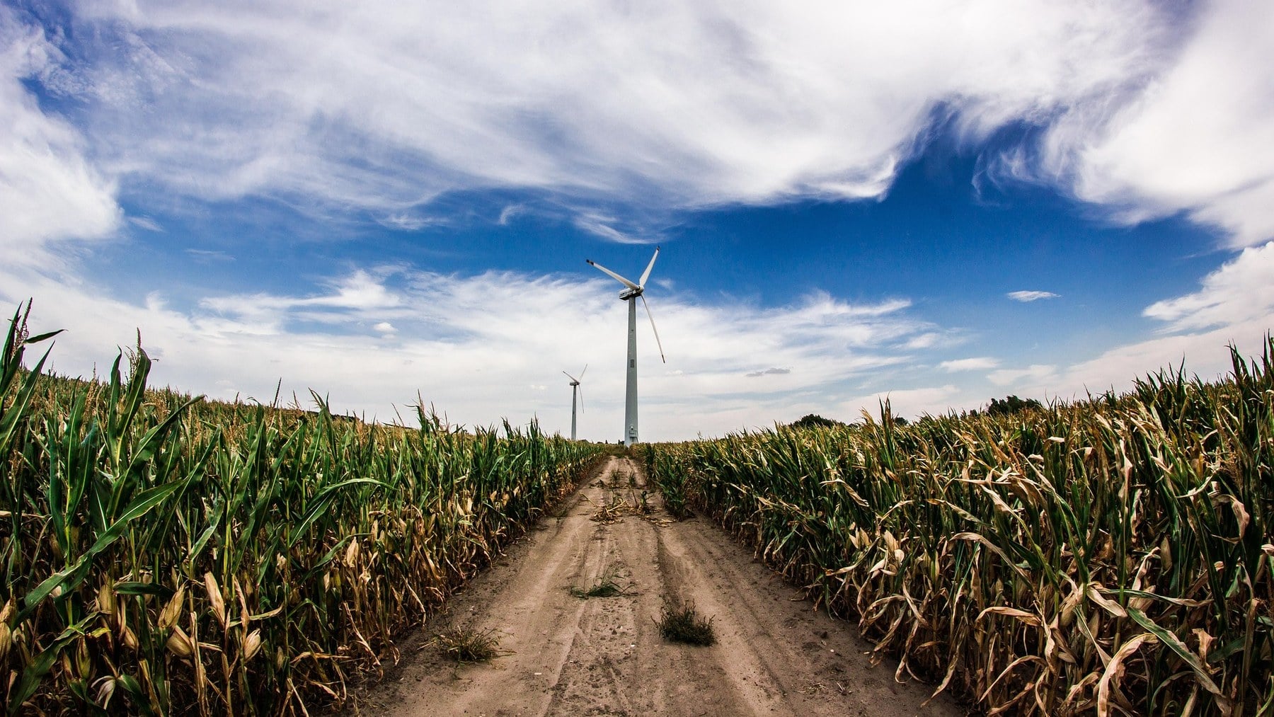 Revolución en la industria agrícola: el CO2 puede ser la clave para combatir las plagas en los cultivos almacenados