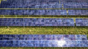 Paneles solares