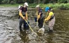 Detectan fármacos en los peces, agua contaminada y peces, peces y productos químicos, peces y contaminación.
