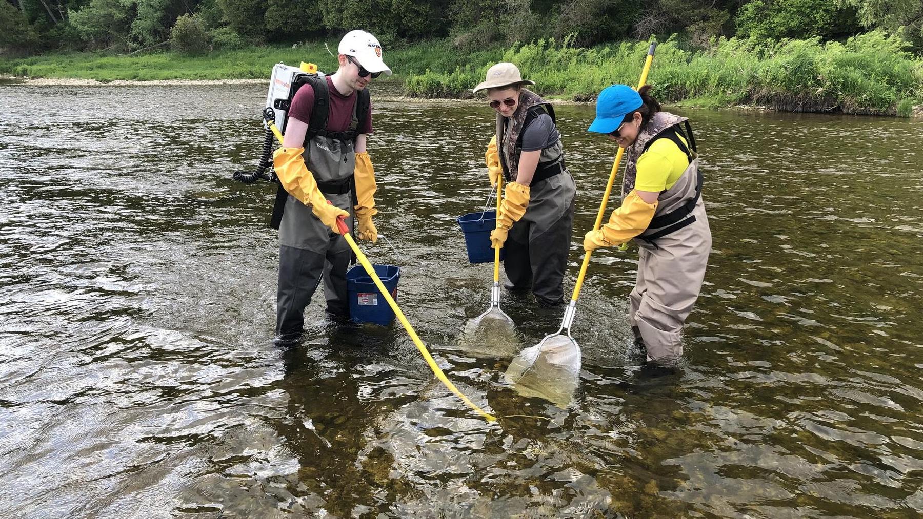 Los investigadores encienden las alarmas: detectan fármacos en los peces de ríos contaminados por aguas residuales