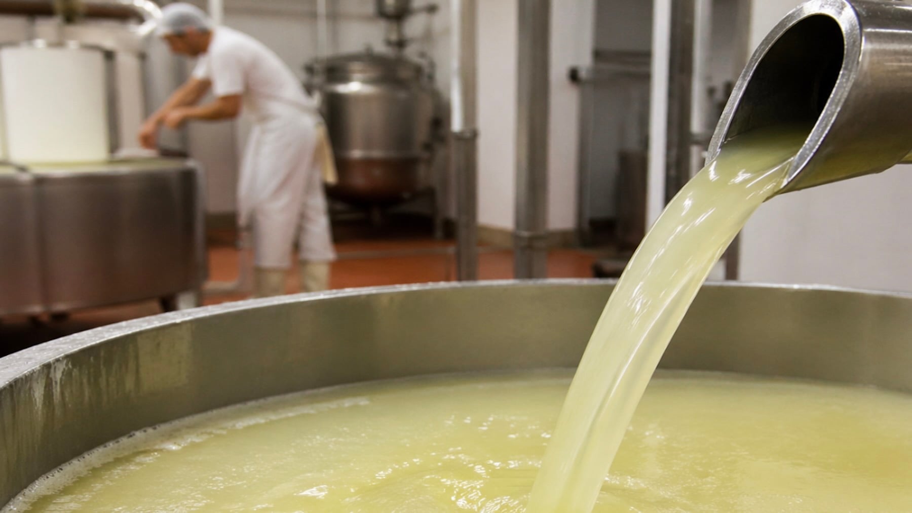 De residuo alimentario a gran recurso productivo: las queserías gallegas reciclan el suero para fabricar pienso ganadero