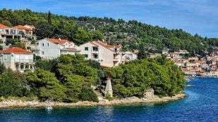 Botánica española consigue medir el agua de los árboles mediterráneo, control sequía con GPS, control incendios con GPS, monitorean los árboles del mediterráneo con GPS.