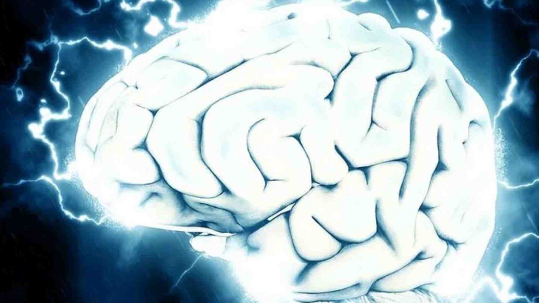 Un nuevo descubrimiento sobre el cerebro desafía lo que sabíamos hasta ahora sobre el desarrollo cerebral en adolescentes