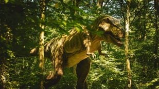 El T-rex