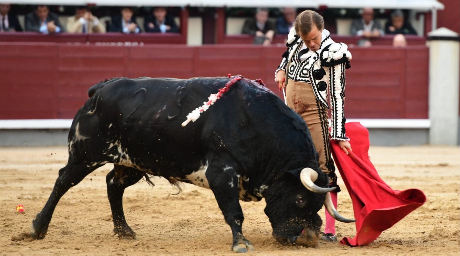 Javier Cortés firma una gran actuación en la Goyesca