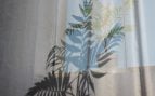 plantas sombra