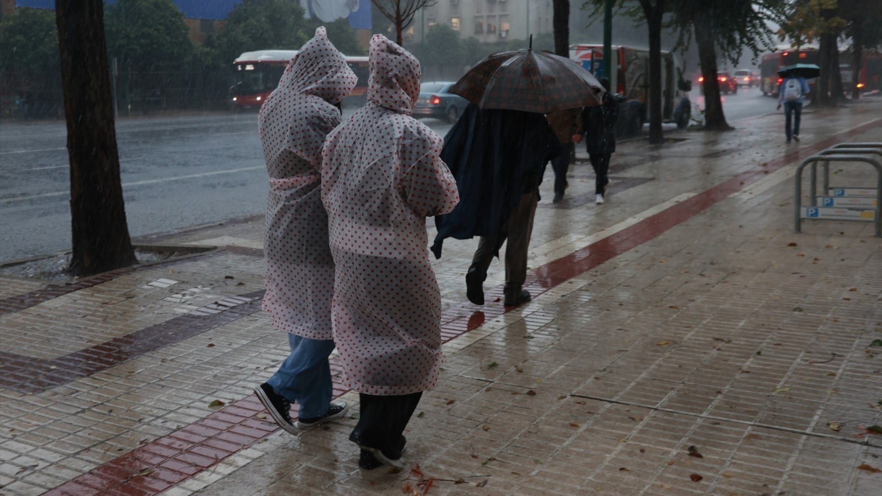 Castilla y León: Chubascos y nubes dominan el día, según AEMET