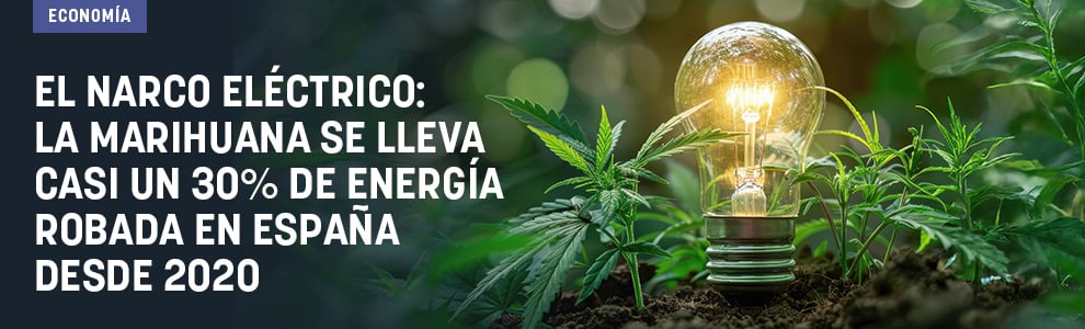 El narco eléctrico: la marihuana se lleva casi un 30% de energía robada en España desde 2020