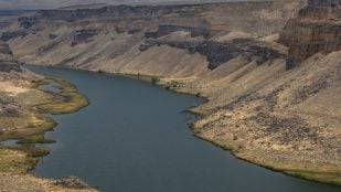 Representación de un río montañoso. (Foto: Freepik)