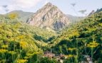 Valle de Sajambre, naturaleza, León, árboles