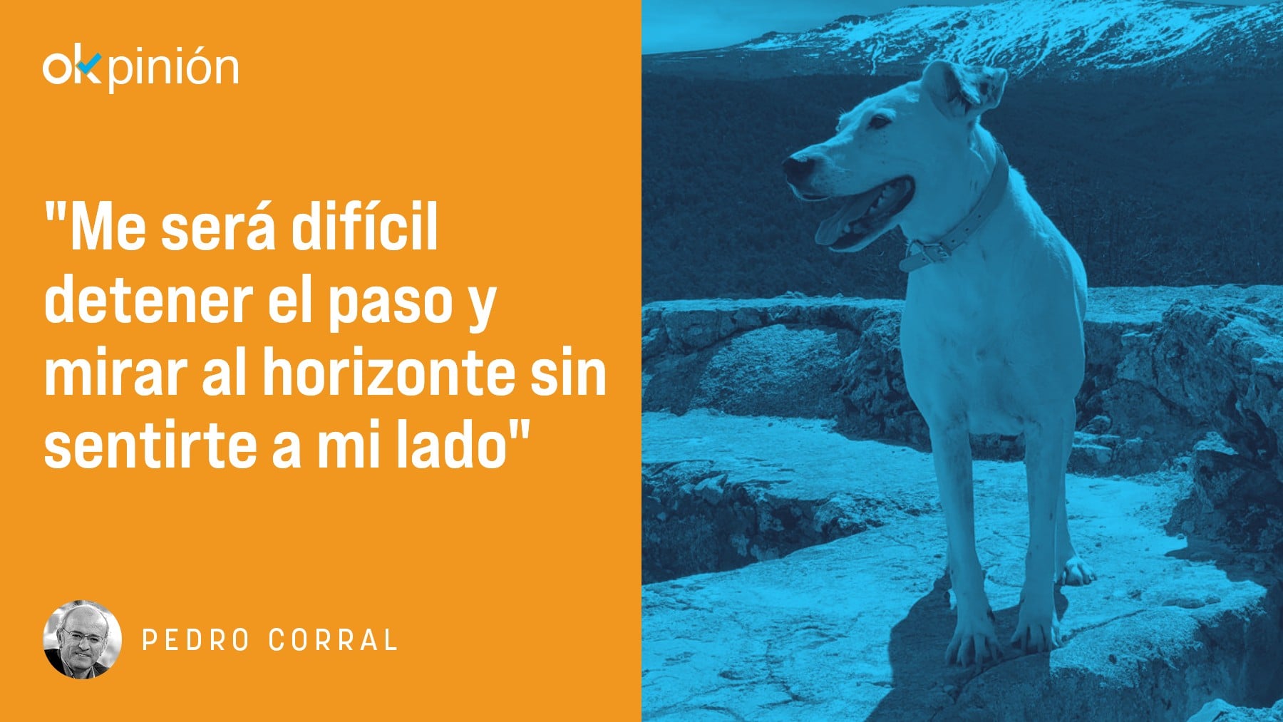 Palabras para Pote