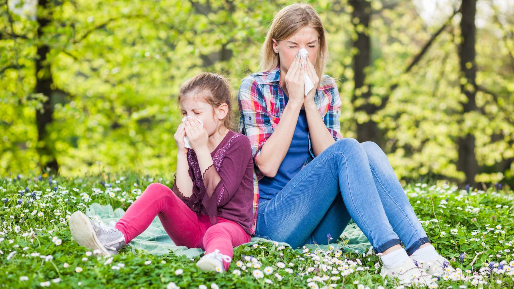 Polen y rutina: cómo aliviar los síntomas de la alergia sin sentir somnolencia