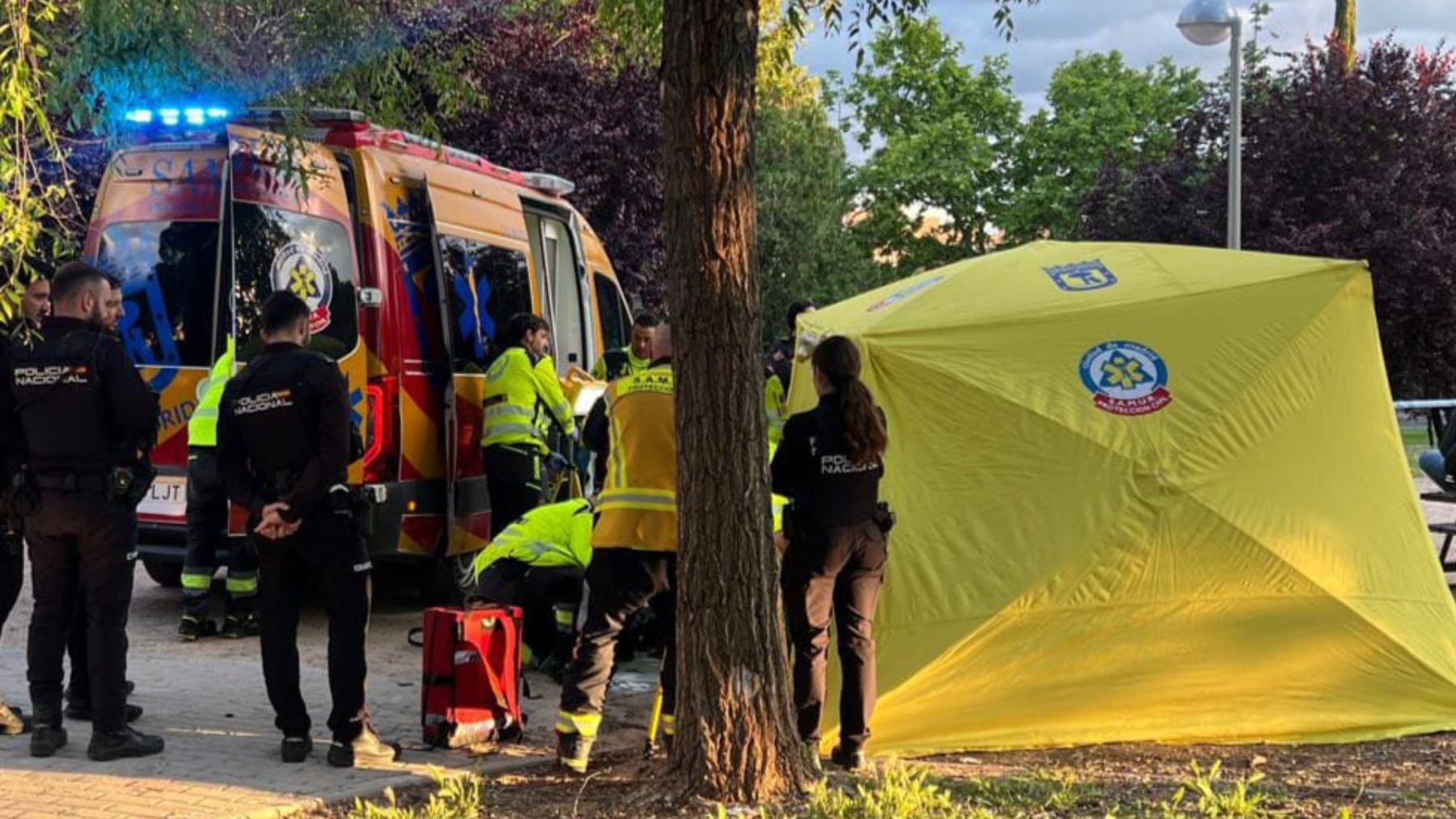 Detenido un delincuente argelino reincidente por matar a un joven nigeriano en Madrid