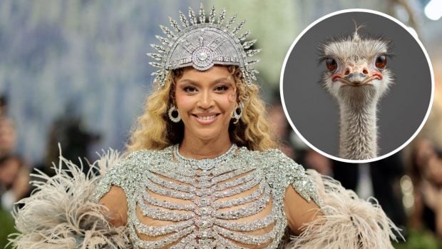 Beyonce