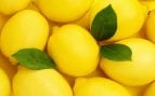 Guardar los limones