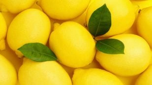 Guardar los limones