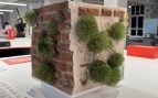Estas pegatinas convierten las paredes desmoronadas de la ciudad en pequeños ecosistemas vivos. Foto: YANKO DESIGN / Yasemin Keyif (Universidad de Bahçeşehir)