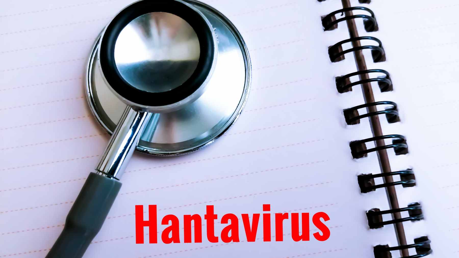 Hantavirus y la historia antigua: las infecciones que pudieron confundirse con otras enfermedades