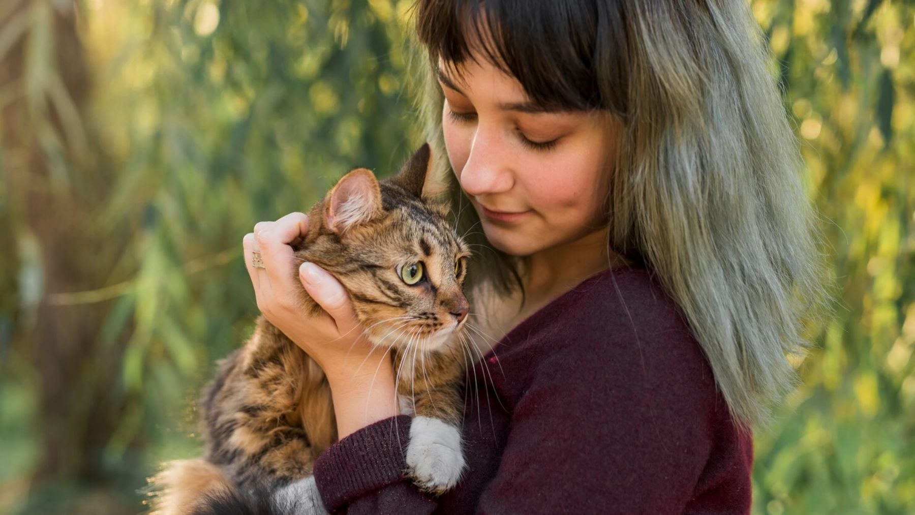 El 43% de los propietarios de gatos españoles dice que estar con ellos reduce su ansiedad y nerviosismo