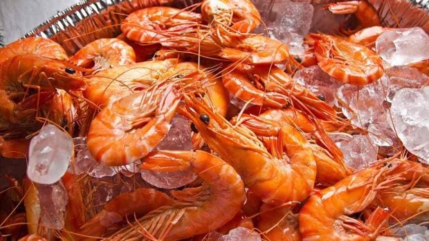 comer marisco