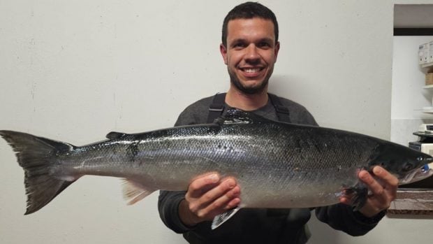 salm&oacute;n atl&aacute;ntico