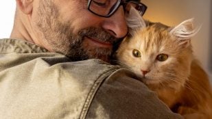 Hombre adulto feliz con gato de mascota. Foto: Freepik